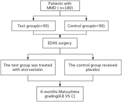 To explore the effectiveness of atorvastatin in the postoperative formation of collateral blood vessels after encephaloduroarteriosynangiosis in patients with moyamoya disease: a prospective double-blind randomized controlled study
